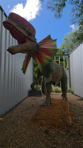 Leonidas was going to feed the dinosaur.