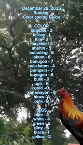 1M views · 11K reactions | Para bukas color coding guide | Taduy Vlog | Facebook