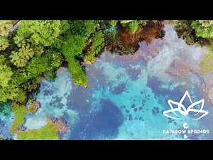 Rainbow Springs a moment of Zen: Soothing Aerial and Underwater Views
