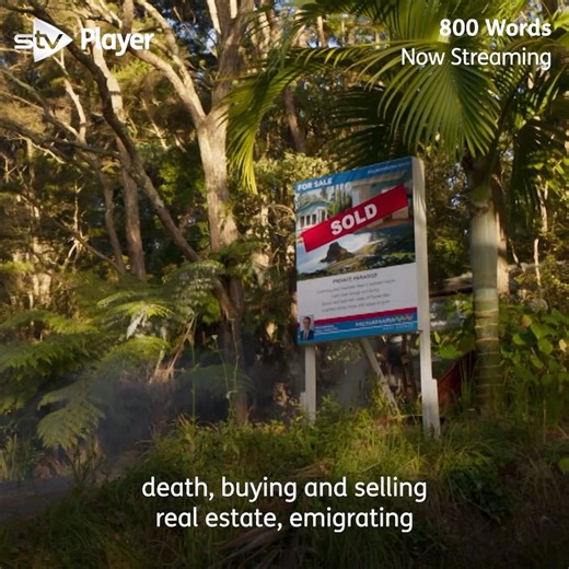 📝 A fresh start. One word at a time. https://stv.click/800-words | STV