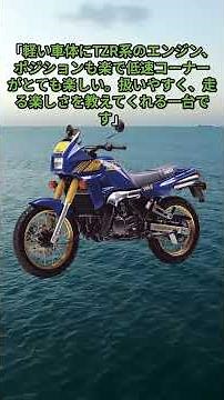 ★Yamaha Autumn Festival★TDR250 [Reviews]
