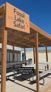 1.2M views · 38K reactions | Ready for an unforgettable adventure...