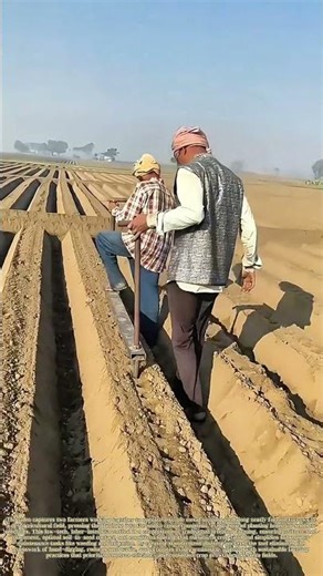 Tamping Furrow Beds: How a Handheld Tool Creates Uniform Planting Holes for Precision Farming