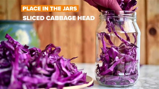 Fall Pickling: Cabbage
