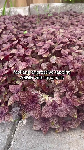 tapping is so good #asmr #tappingasmr #longnails