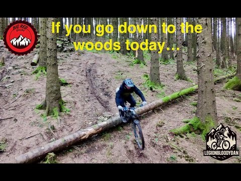 Lake District Mtb Chapel House Woods