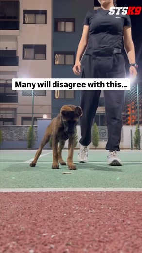 123K views · 9.7K reactions | Start with the game, not your face....