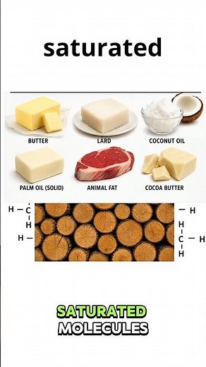 Saturated vs Unsaturated Hydrocarbons Explained