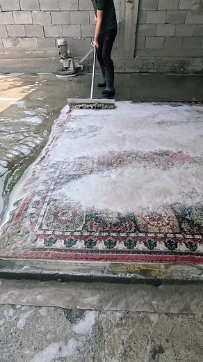 #satisfying #asmr #carpetcleaning #carpet