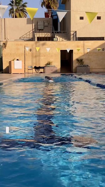 Rotation in your freestyle is a must, but it's possible to have too much of a good thing! 😅 Keep your rotation to 45 degrees or less, as shown here by MySwimPro Ambassador Islam Abdou Get more freestyle tips and drills in the MySwimPro app - check it out at myswimpro.com/coach | MySwimPro