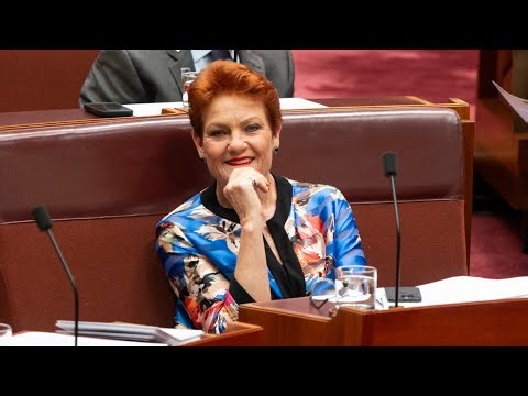 One Nation’s ‘Fire the Liar’ campaign ‘blasted’ expectations