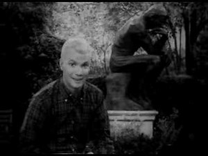 Ponderings of Dobie Gillis #1