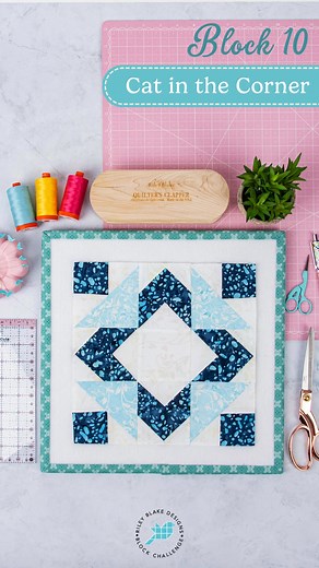 Block 10 here we gooo!! Find this free pattern on our blog, website, & YouTube channel today and sew along! https://www.rbdblog.com/2025/04/01/rbd-block-challenge-block-10-by-janet-wecker-frisch/ | Riley Blake Designs
