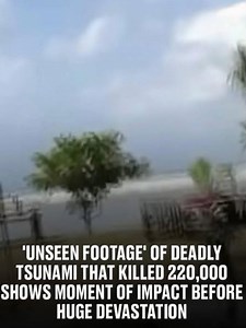 44K views · 48 reactions | ‘Unseen footage’ of the horrific tsunami that ended 220,000 lives shows the moment of impact before massive damage…Check comments for details | Daily Stories | Facebook