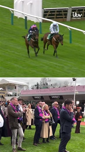 A tale of two stories.. #itvracing #cheltenham
