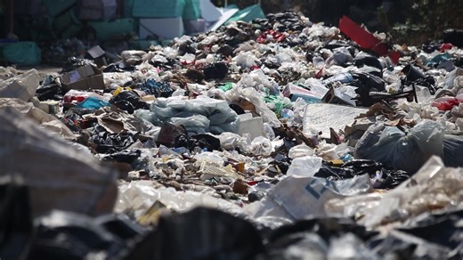 Environmental Pollution Documentary: Impact on Student Life