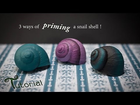 3 ways of priming a snail shell Tutorial Snailpainting
