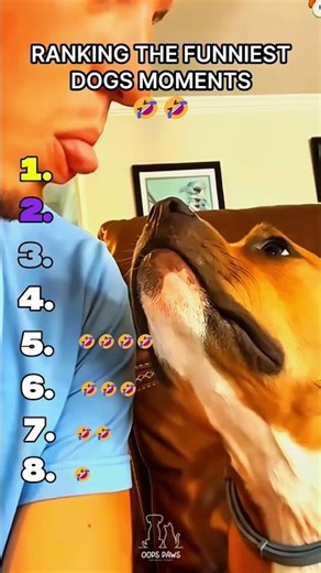 Dogs funny | Try Not To Laugh 😂