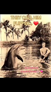 738 reactions · 123 shares | FLASHBACK to FLIPPER!!!! From 1963...
