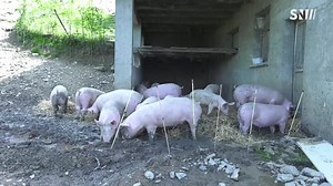 8K views · 41 reactions | Prenez la clé des champs à Venthon,...