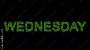 Wednesday text with green grass effect on plain black background