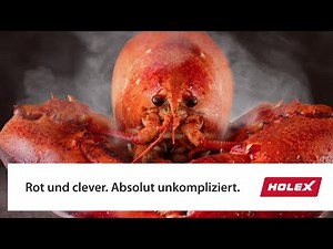 HOLEX. Rot und clever. Absolut unkompliziert.
