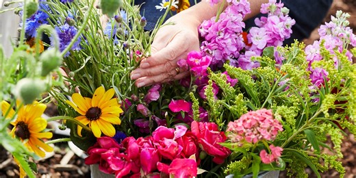 6 of the biggest gardening trends of 2024 so far