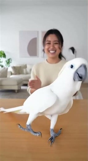 Funniest Parrot Dance Moves Ever!