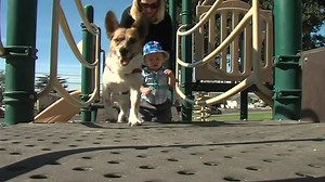 27 reactions | The DNA in your veins isn't yours alone. Your blood...