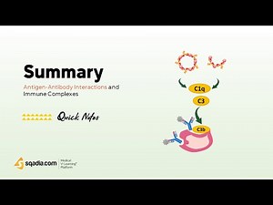 Antigen-Antibody Interaction and Immune Complexes | Summary | Medical Immunology