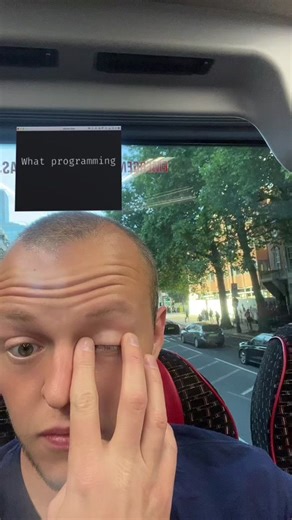 Cow #programming #fyp #programming #code #language