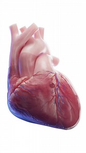 595K views · 4.5K reactions |  Cardiac Tamponade: When Pressure on...