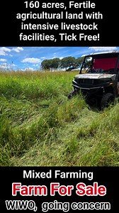 #Cushnie #Southburnett #qldproperty #farmforsale #propertyinvestment #mixedfarming #piggeryfarm #cattlefarm #HayProduction #organicfertilizer | Swift's Ranch