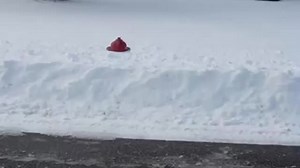 Fairfield girl declares fire emergency on snow-covered hydrants in PSA