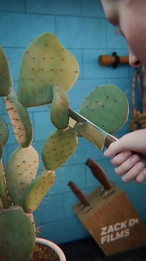 Preparing and Cooking Cactus for Tacos