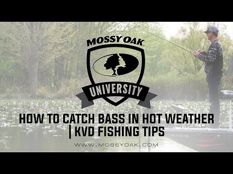 How To Catch Bass In Hot Weather | KVD Fishing Tips