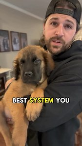 32K views · 4.8K reactions | Get your puppy on a schedule from day 1!...