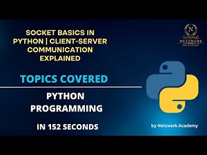 Socket Basics in Python | Client-Server Communication Explained