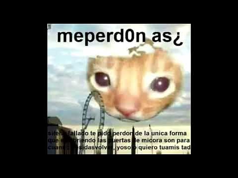 me perdonas? si te he fallado te pido perdon ( meperd0n as¿ )