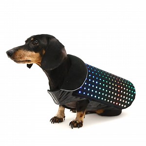 96K views · 1.5K reactions | This vest turns your dog into a disco ball! 拾拾 | Go Fetch | Facebook