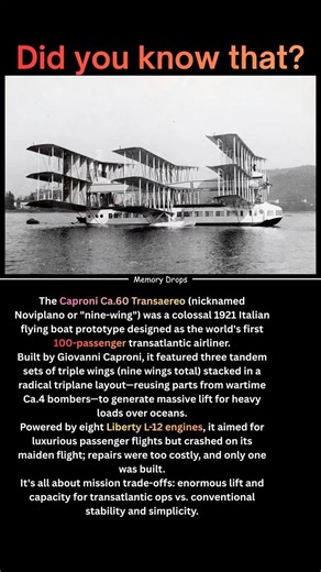The Giant 9-Wing Plane That Crashed on Its First Flight ✈️ | Caproni Ca.60 #aerotime #planecrazy