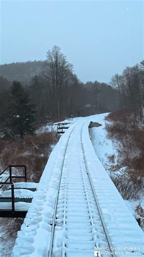 The View From The Plow Train On The Naugatuck (Thomaston, CT - Jericho Bridge) #shorts