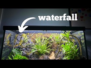 How to build the ULTIMATE paludarium!