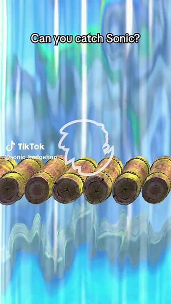 Catch Sonic in Action: A Gaming Adventure