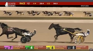 ‼ TRACK RECORD ‼ Winner’s Bet [Walner-Side Bet Hanover] set a new track record for 4-year-old stallions winning the $260,000 Charlie Hill Memorial Trot in 1:50.4 at Eldorado Scioto Downs. Read on & Replay: harnesslink.com/usa/record-set-in-260000-charlie-hill-memorial/ #harnessracing | Tetrick Racing
