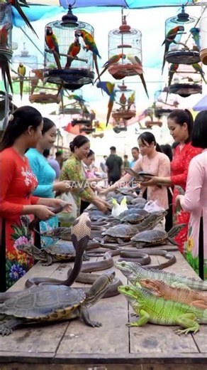 Inside Asia’s Most Colorful Exotic Animal Market 🐍🦜‪@mfajar88‬