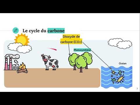 Le cycle du carbone et de l'oxygene