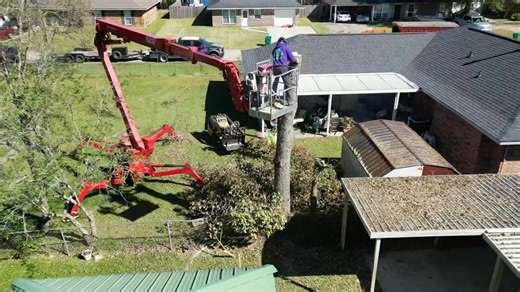 From top to bottom, beginning to end. Another safe and efficient tree removal complete. Our team works with precision to protect your home, landscape, and surrounding structures during every removal🌳🪵 “Like It Was Never There” Give us a call,send us a text or head over to our website for a free quote form and additional information 🌲🍂 📞 225-939-2322 💻 treeprola.com #cuttingtrees #treeservice #treecutting #treeremoval #louisianatree #treecareservices #TreeRemoval #treepros #allaccessequipme