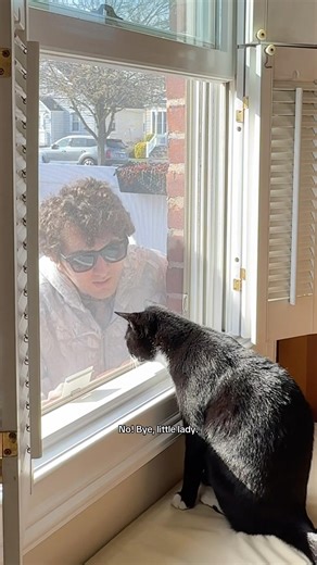 My cat outsmarted me AGAIN…