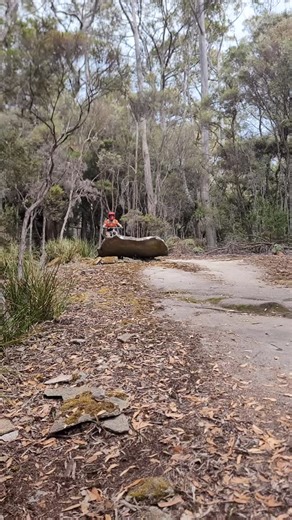 Kids party lapping Return to Sender; is there anything better than the next gen enjoying mountain biking! This beauty of a blue trail got a full end to end rebuild late last year and is riding spectacular. 📷: @shredlys #bluederby | Blue Derby Mountain Bike Trails